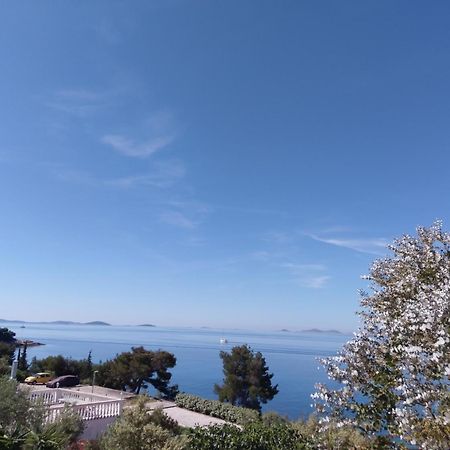 Amazing Villa Galeb In Murter Rum bild