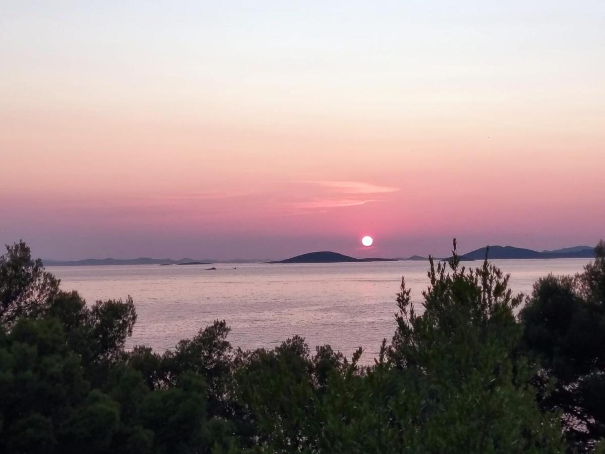 Amazing Villa Galeb In Murter Exteriör bild