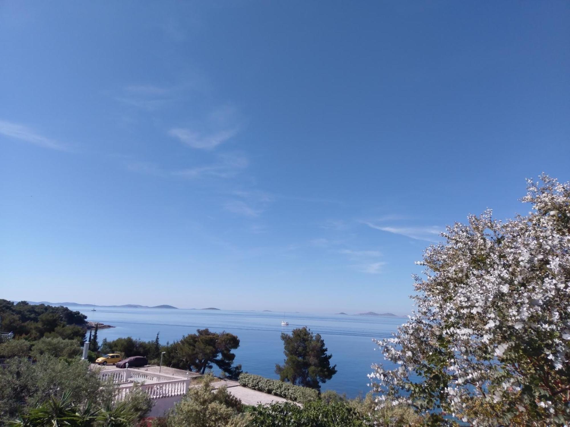 Amazing Villa Galeb In Murter Rum bild